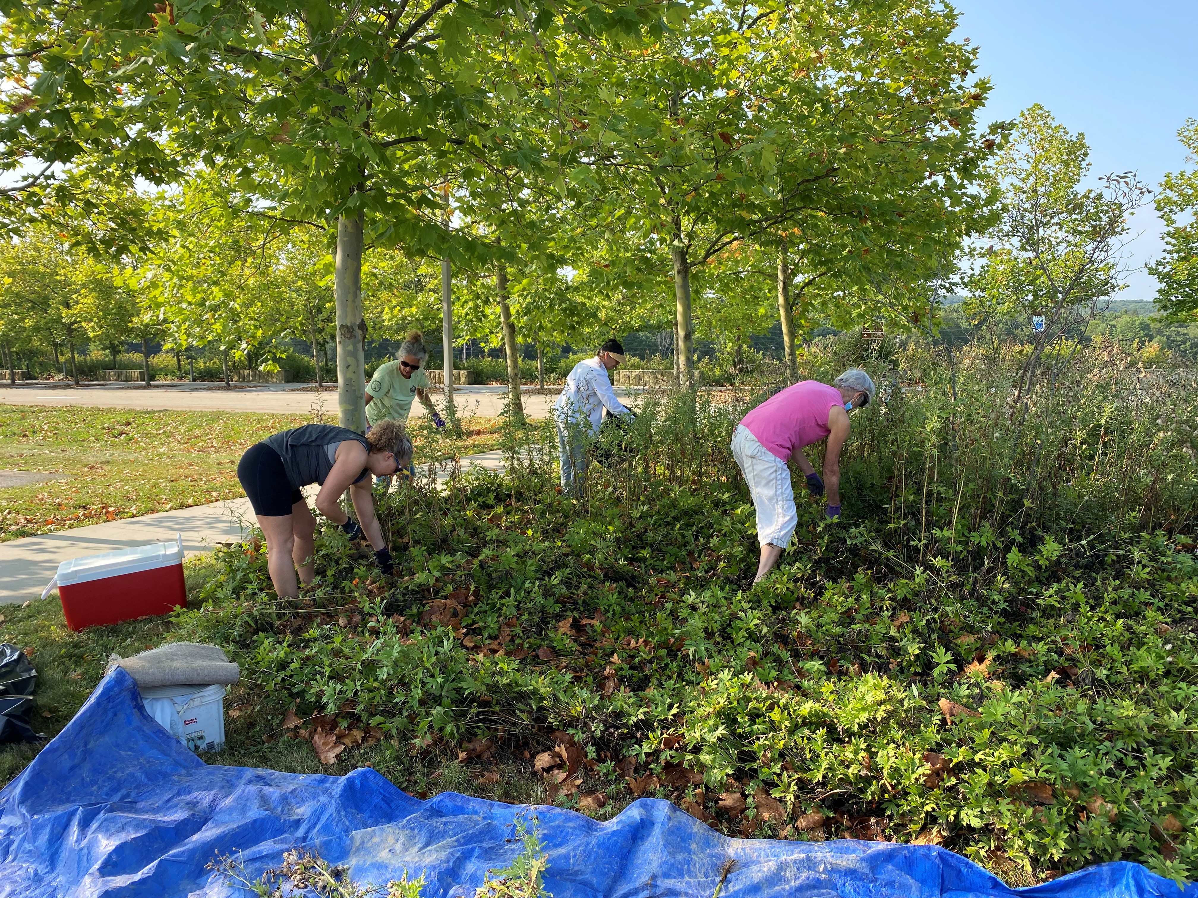 Master Gardeners help at Flight 93 Memorial