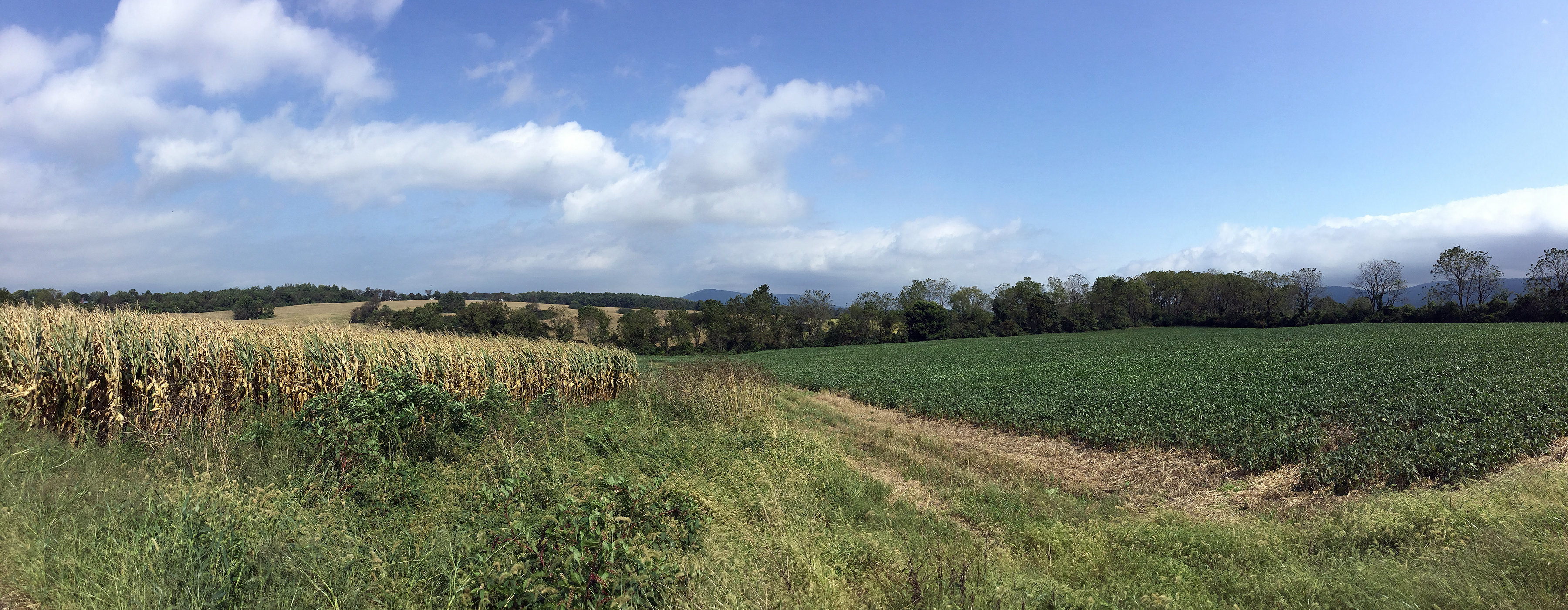 Panorama of Musser Gap with corn and soybean farms