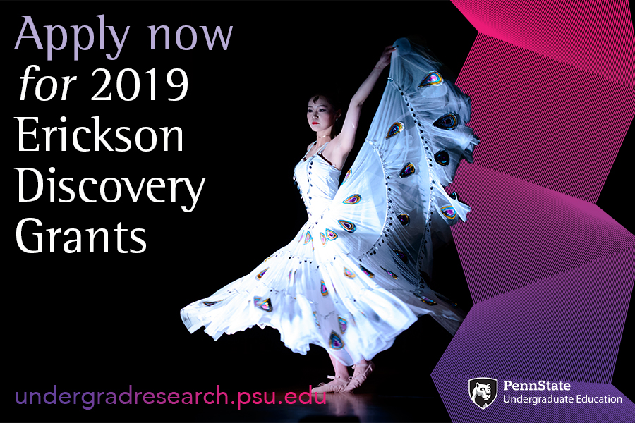 Apply now for the 2019 Erickson Discovery Grants