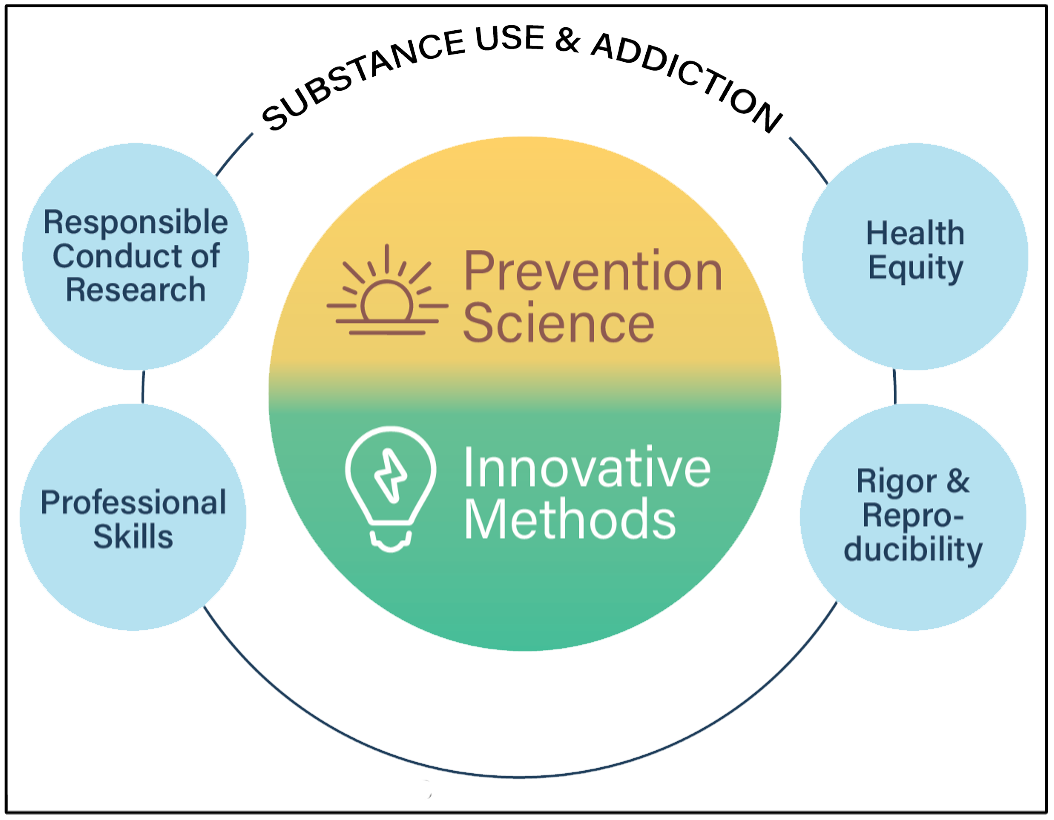 Focus areas of Penn State's Prevention and Methodology Training (PAMT) program