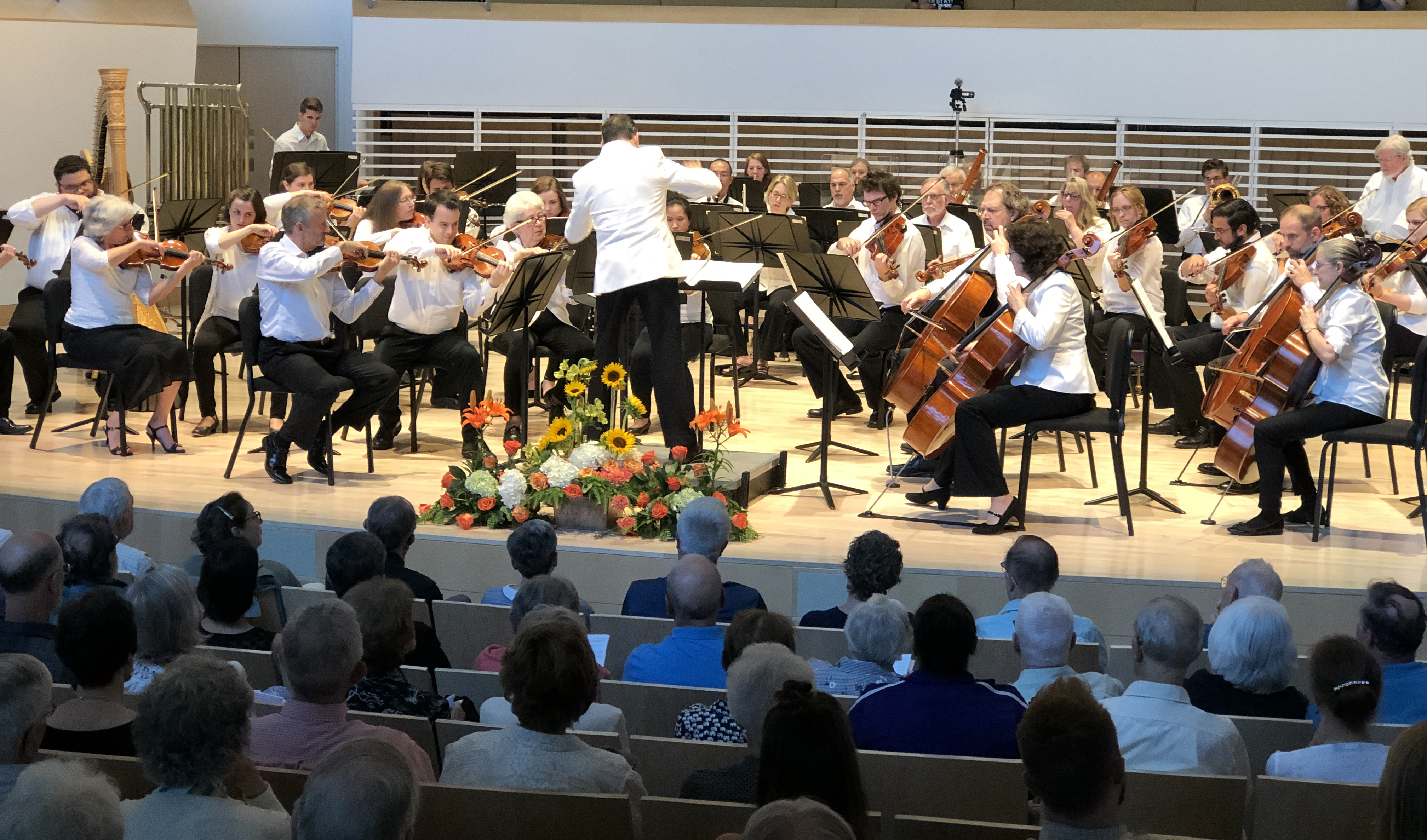 Penn's Woods Orchestra 2019