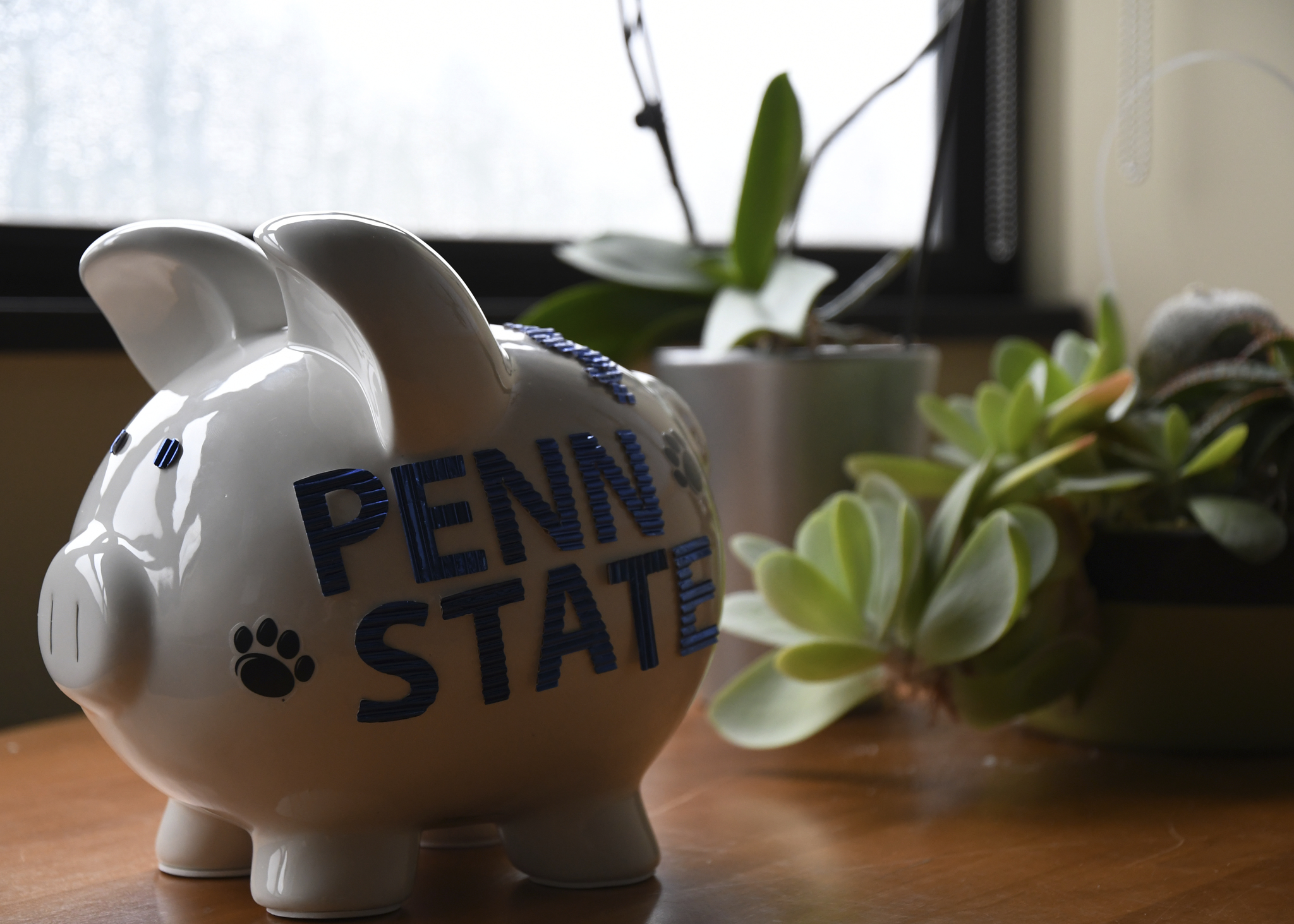 A Penn State piggy bank on a desk with succulent plants 