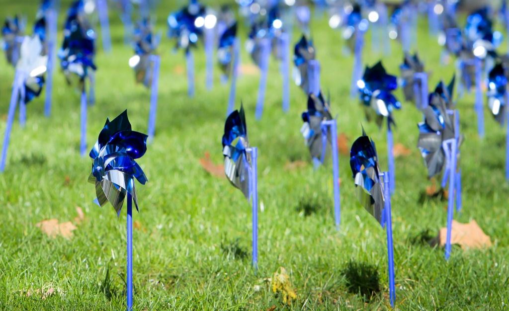 Pinwheels in the grass outside Penn State Hershey Medical Center.