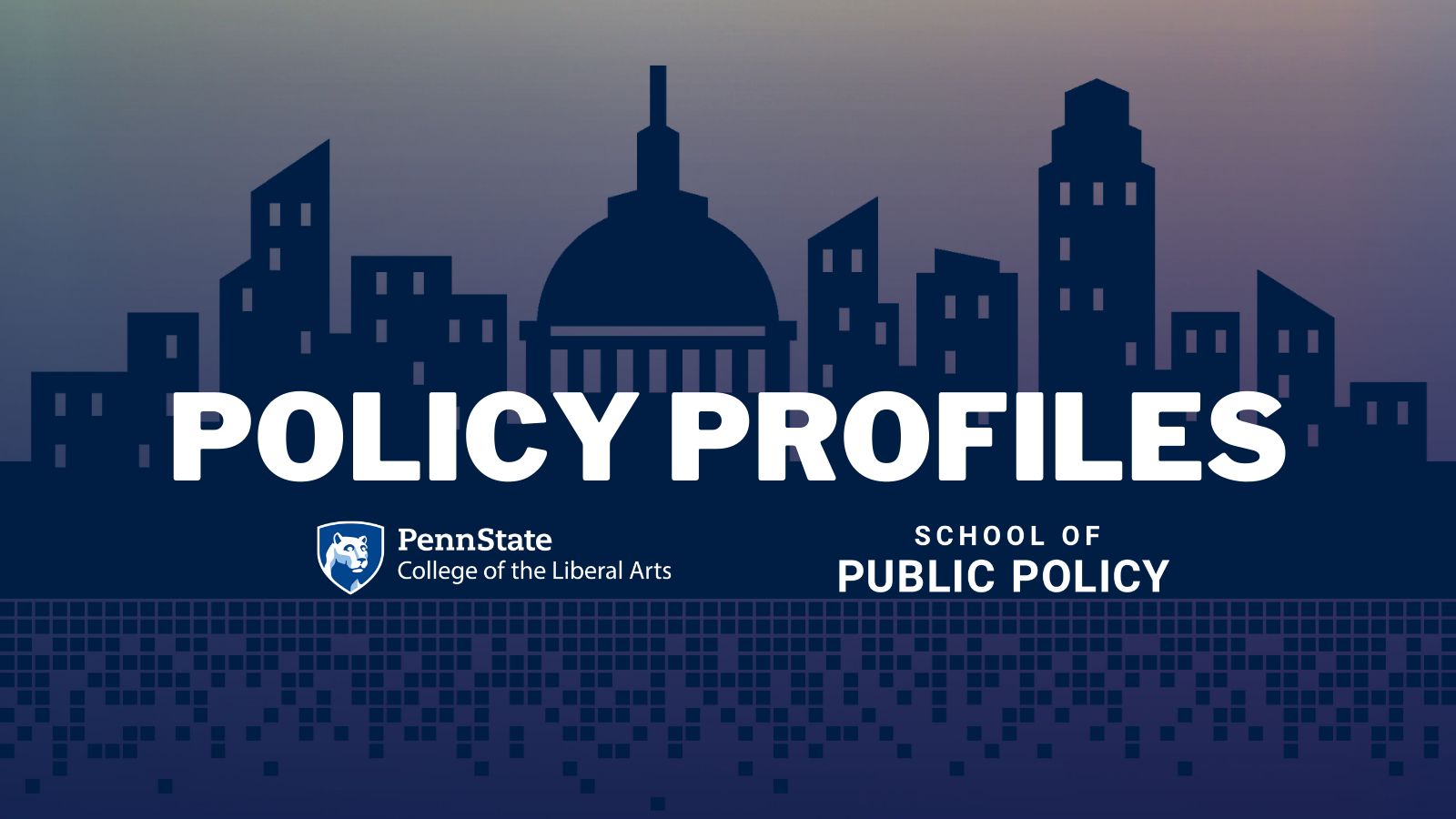 Policy Profiles series title graphic image of Washington, D.C. skyline