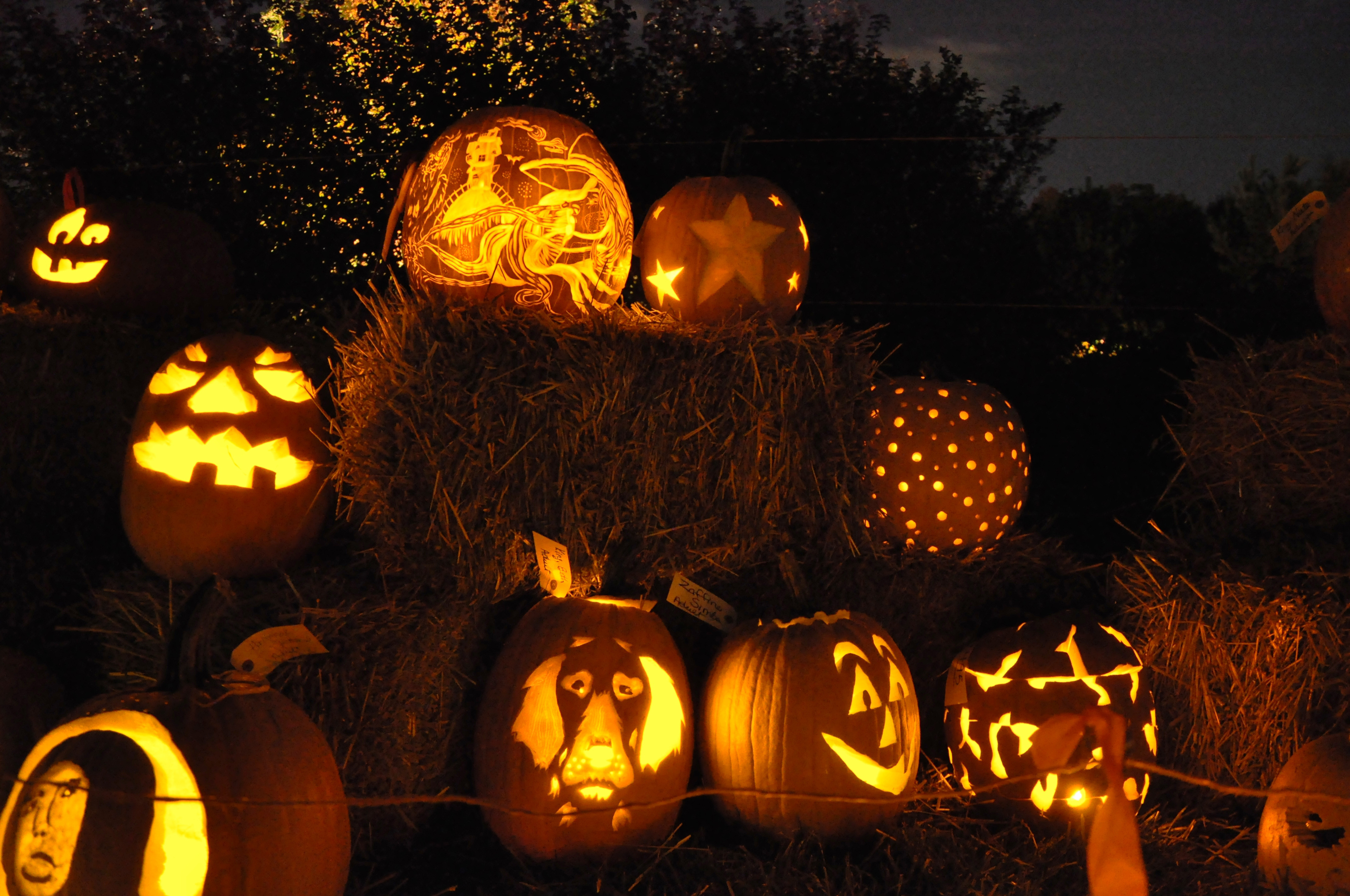 Arboretum Pumpkin Festival 2012 - jack-o'-lanterns