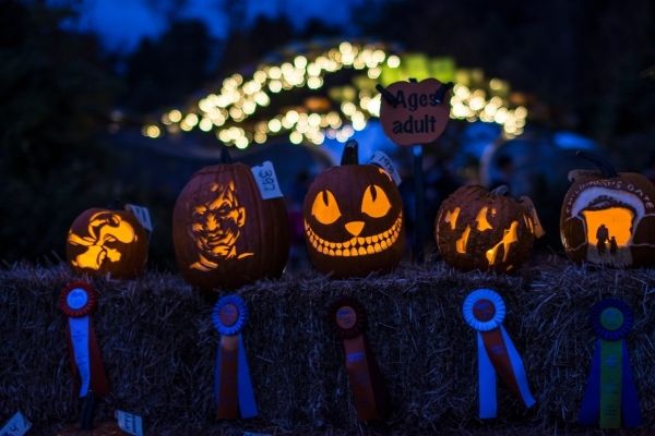 Lighted jack-o'-lanterns at night