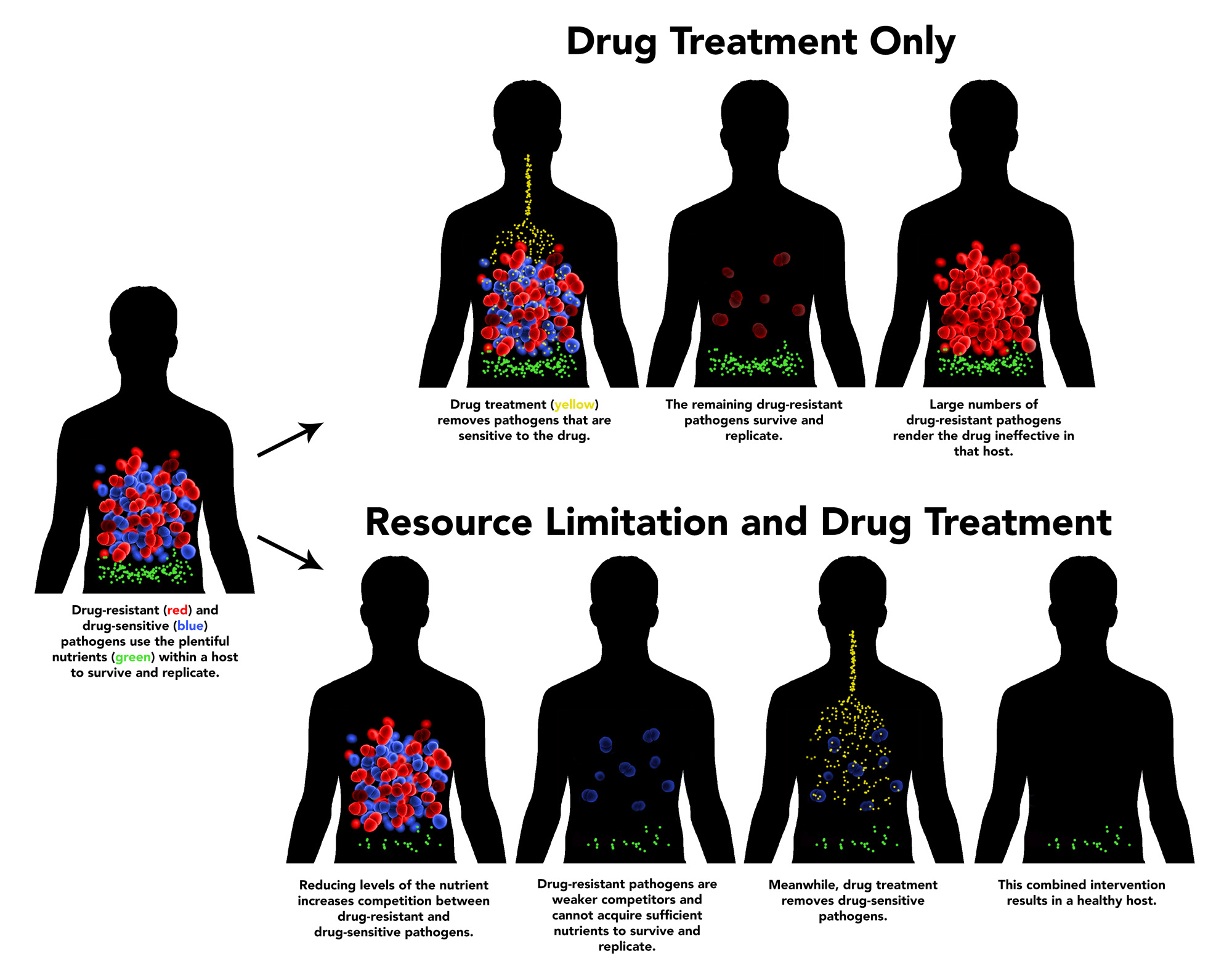 Graphic demonstrating the combined intervention