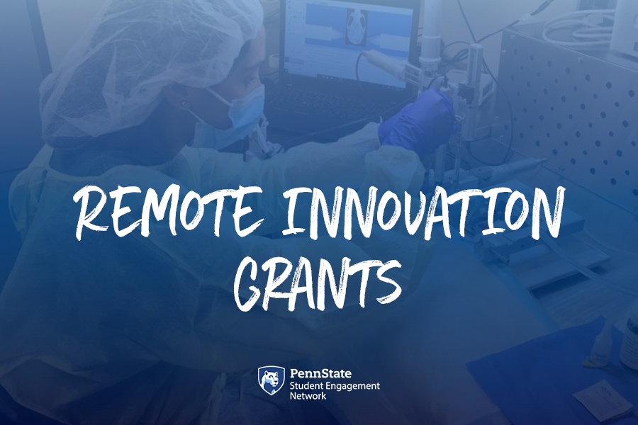 Remote Innovation Grants Student Engagement Network