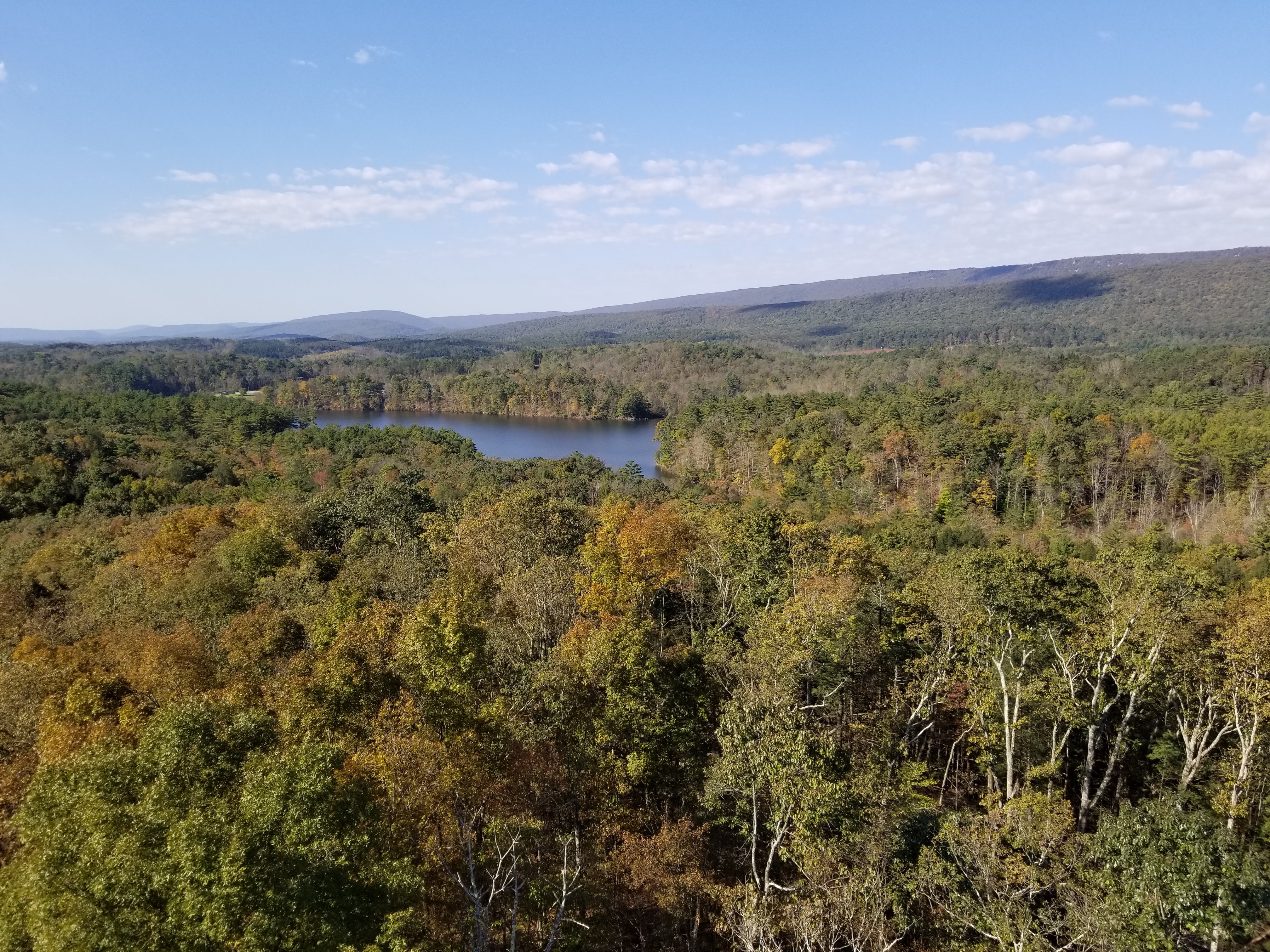 The Shale Hills research site, as seen from a 100-foot flux tower.