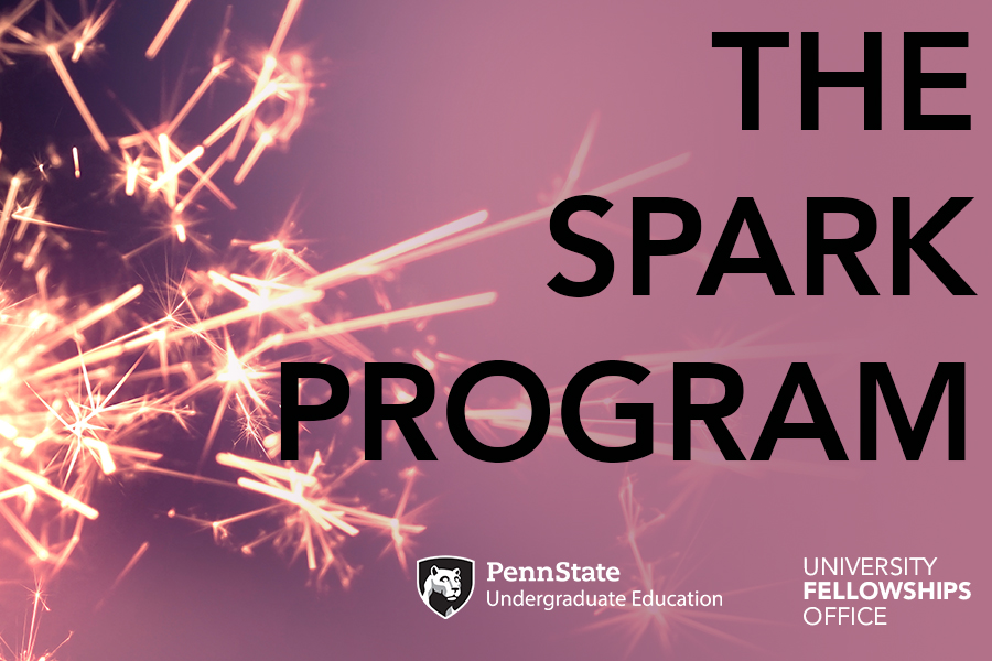 The Spark Program graphic