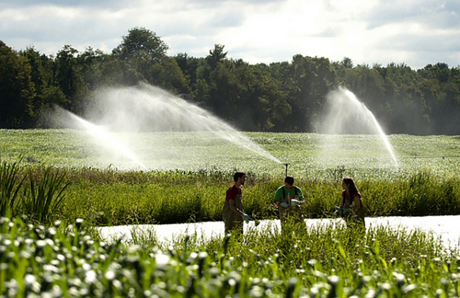 Spray fields at the Living Filter, three people stand near a field with equipment spraying over the fields behind them