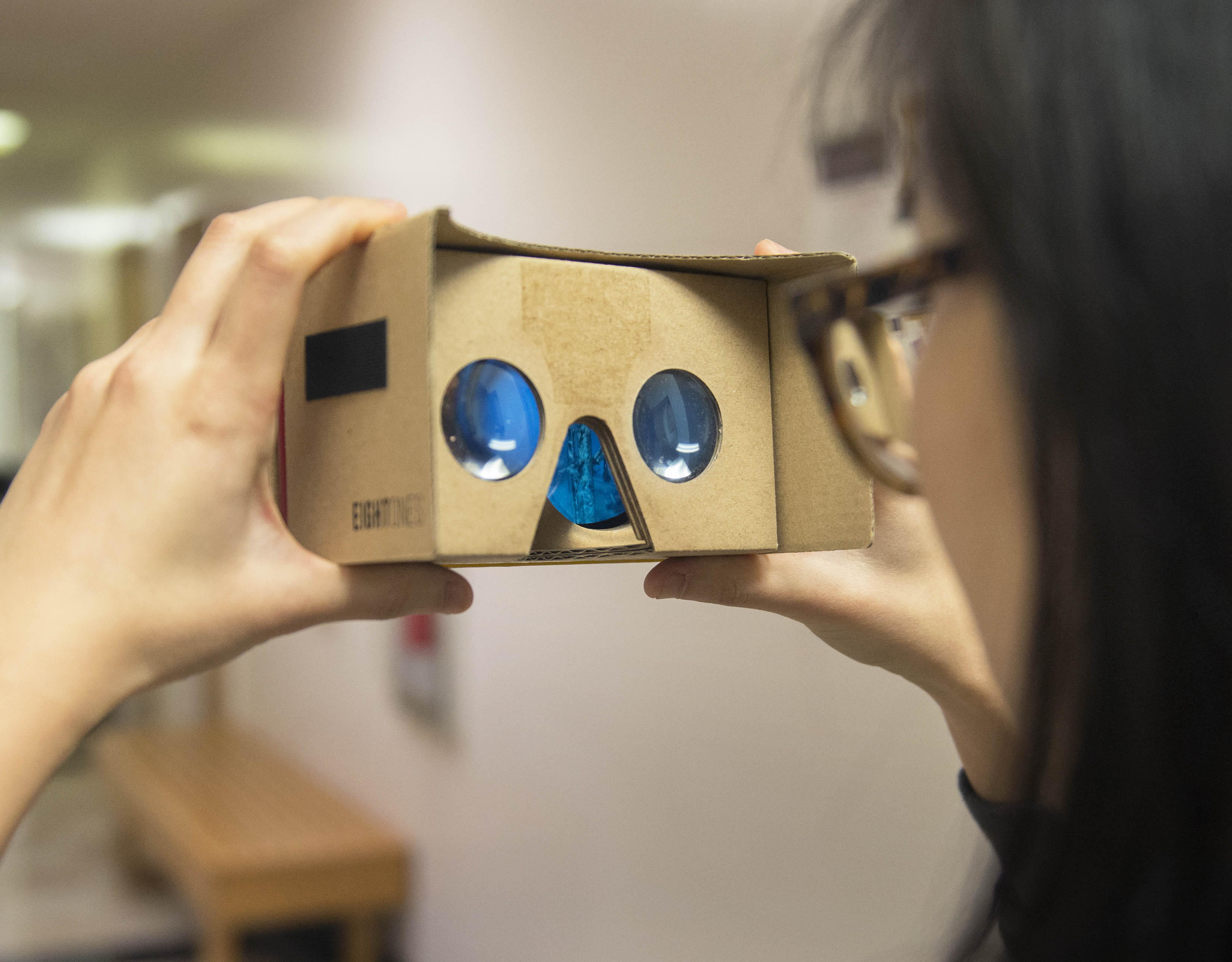 cardboard viewer