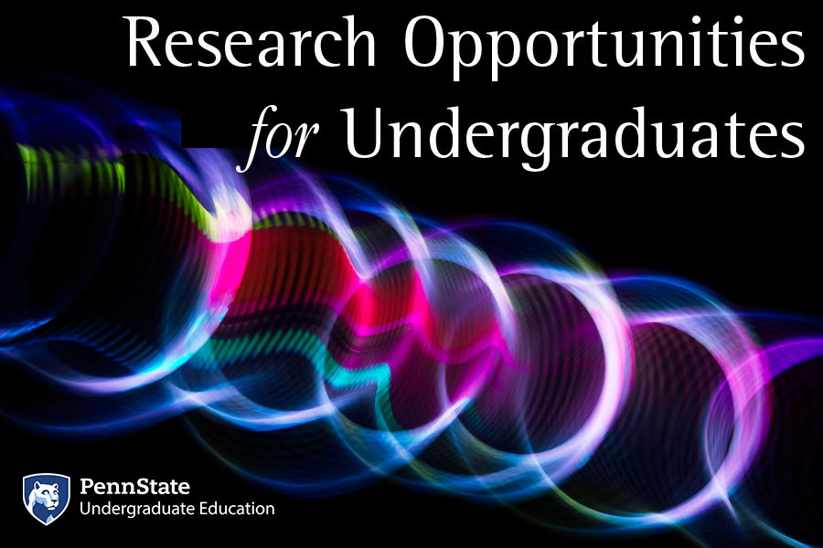 Research Opportunities for Undergraduates graphic