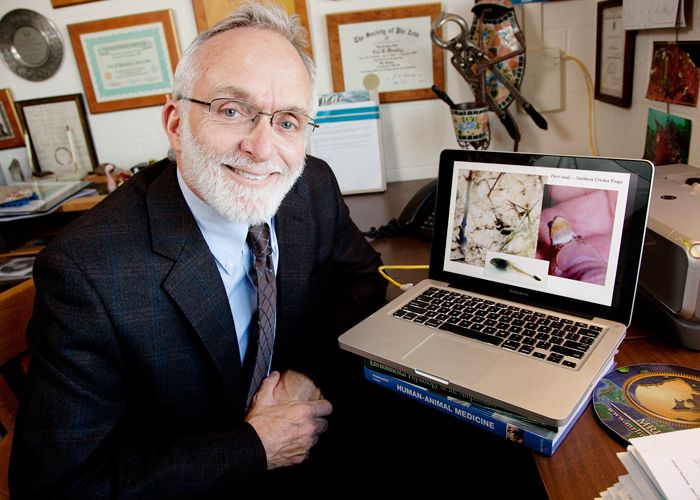 Beasley named head of Veterinary and Biomedical Sciences | Penn State ...