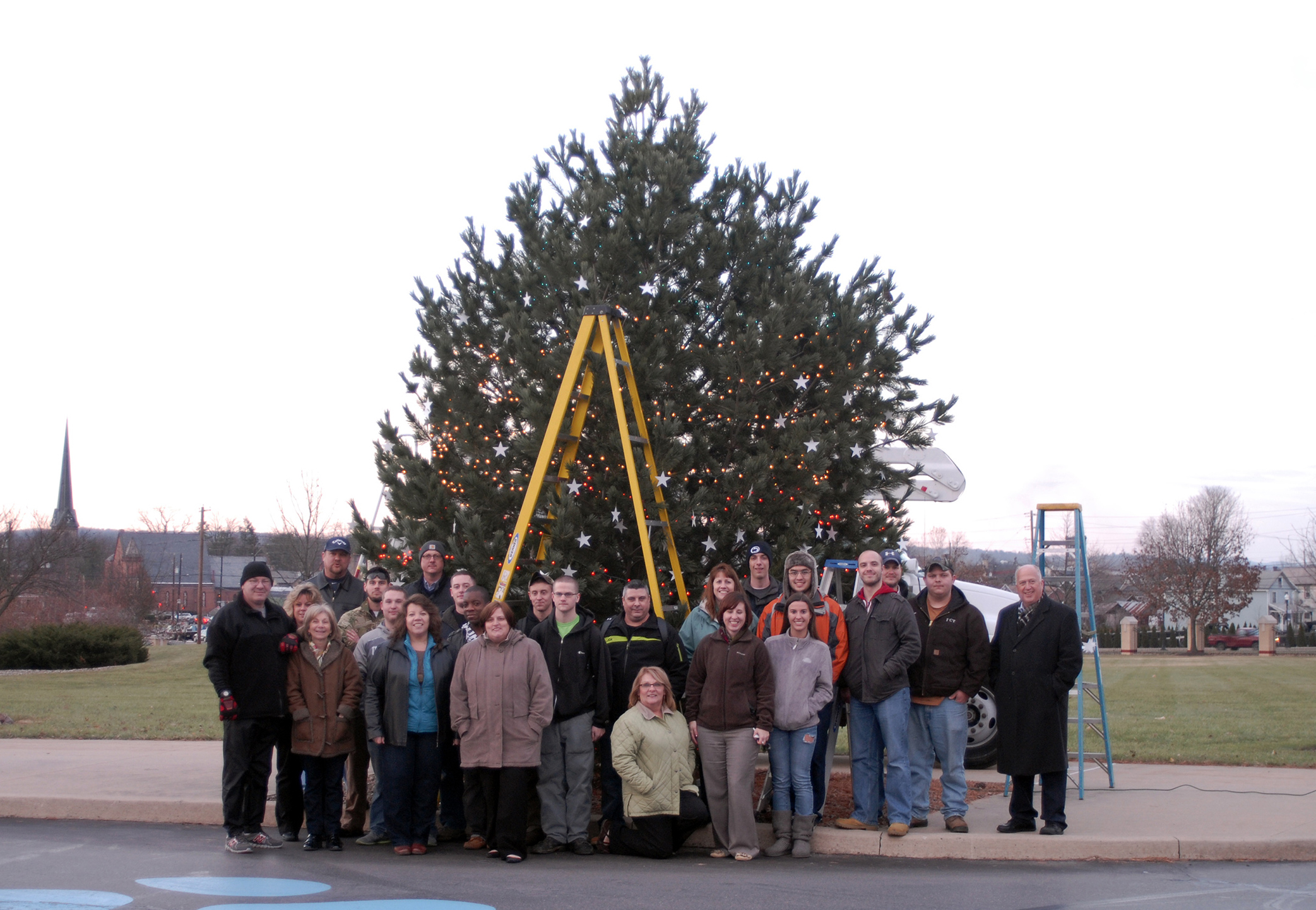 Veteran Tree