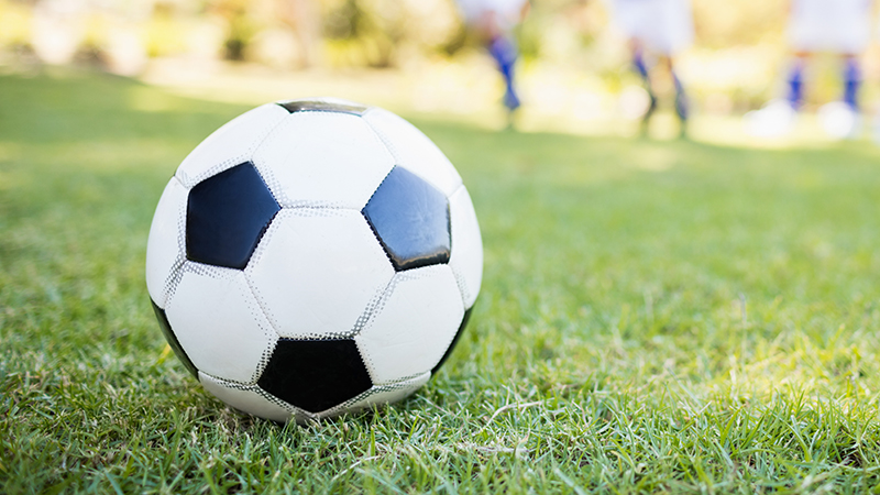 Soccer ball in a field