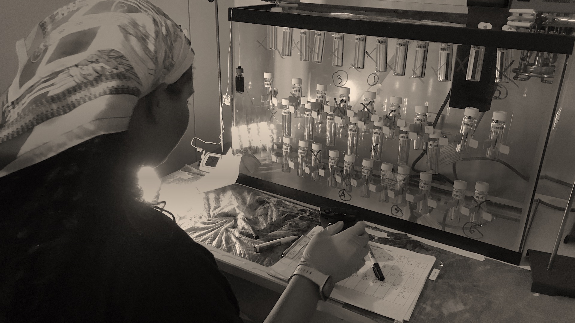 Woman working with mosquitoes in test tubes.