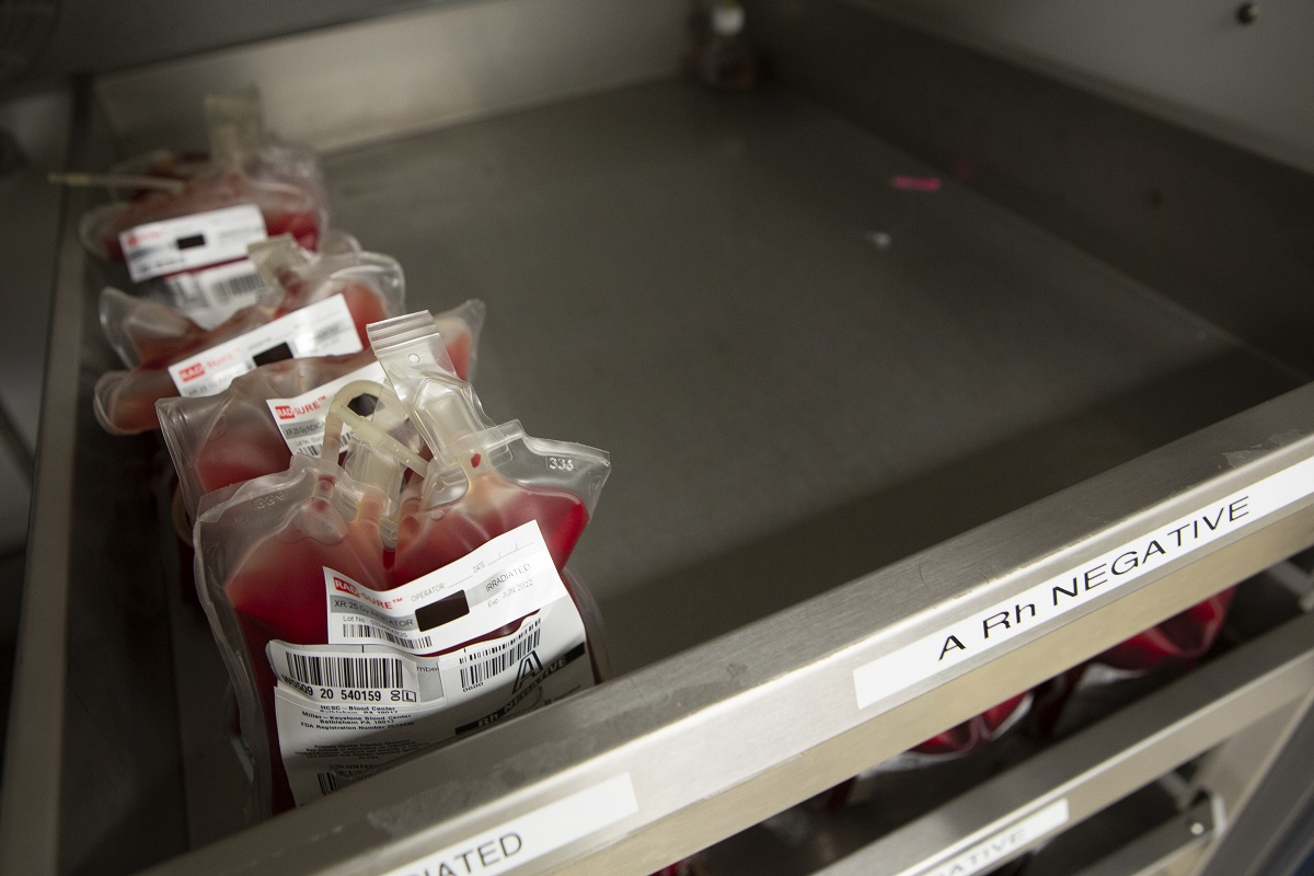 Several units of blood with labels are lined up in a metal tray.