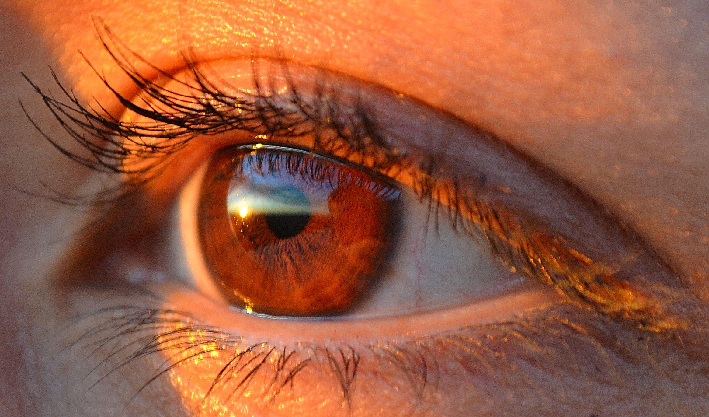 Closeup of an eye