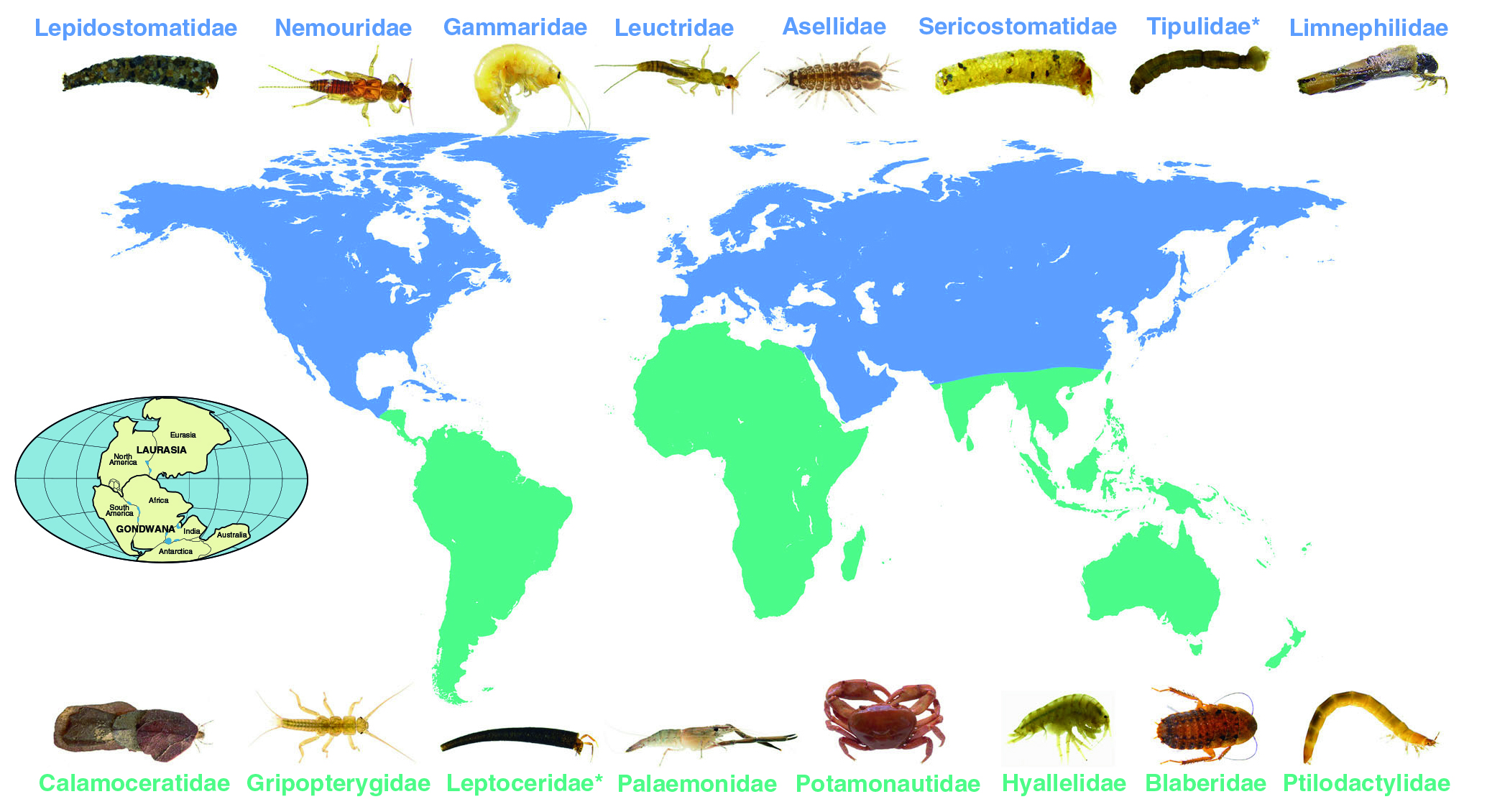 world map