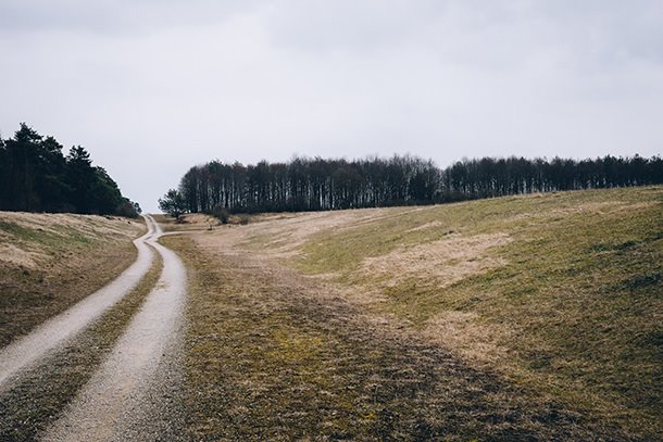 A dirt road in the middle of a field. 