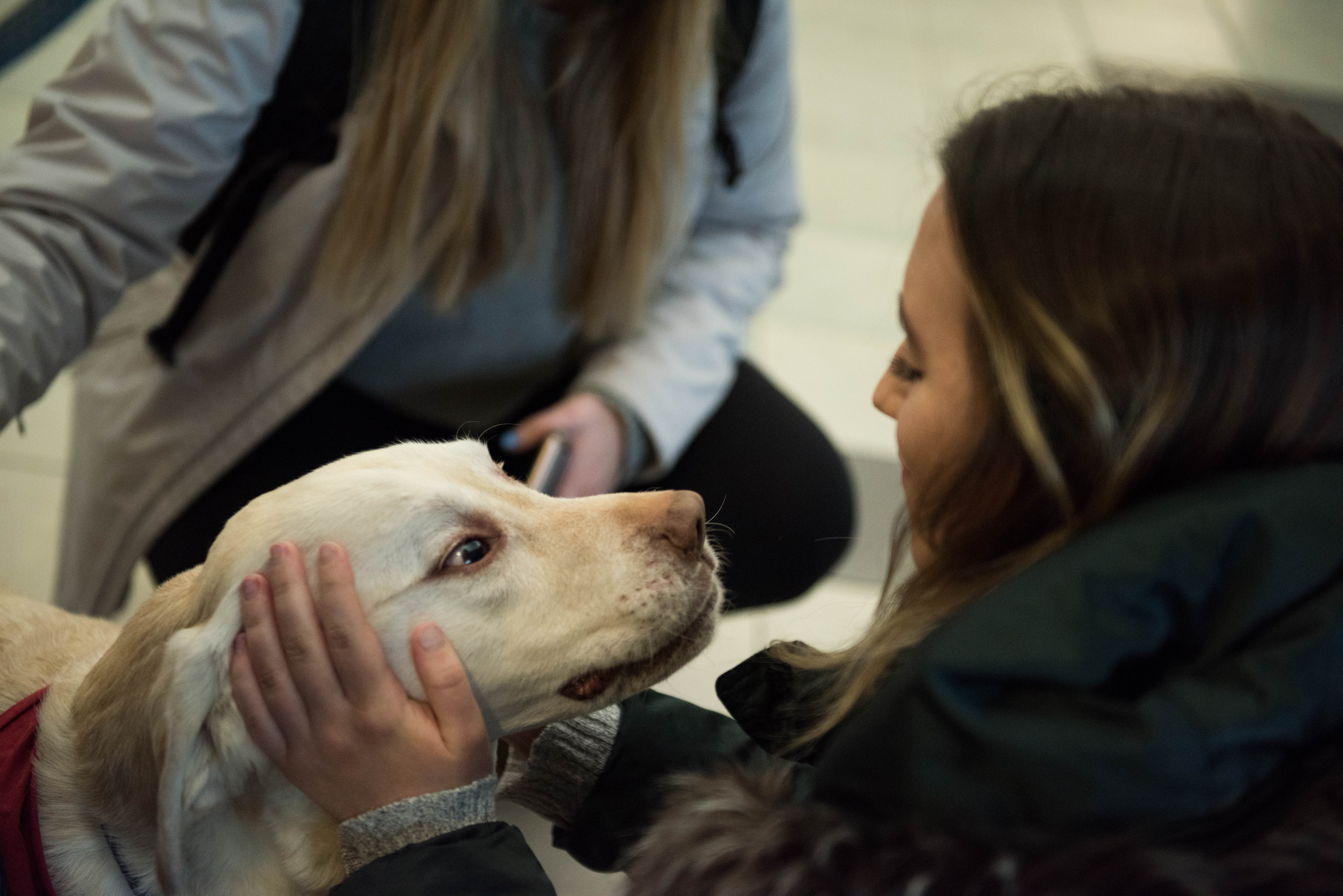 student petting dog