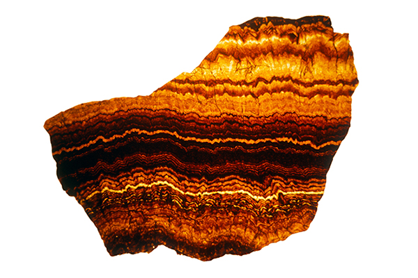 The mineral sphalerite 