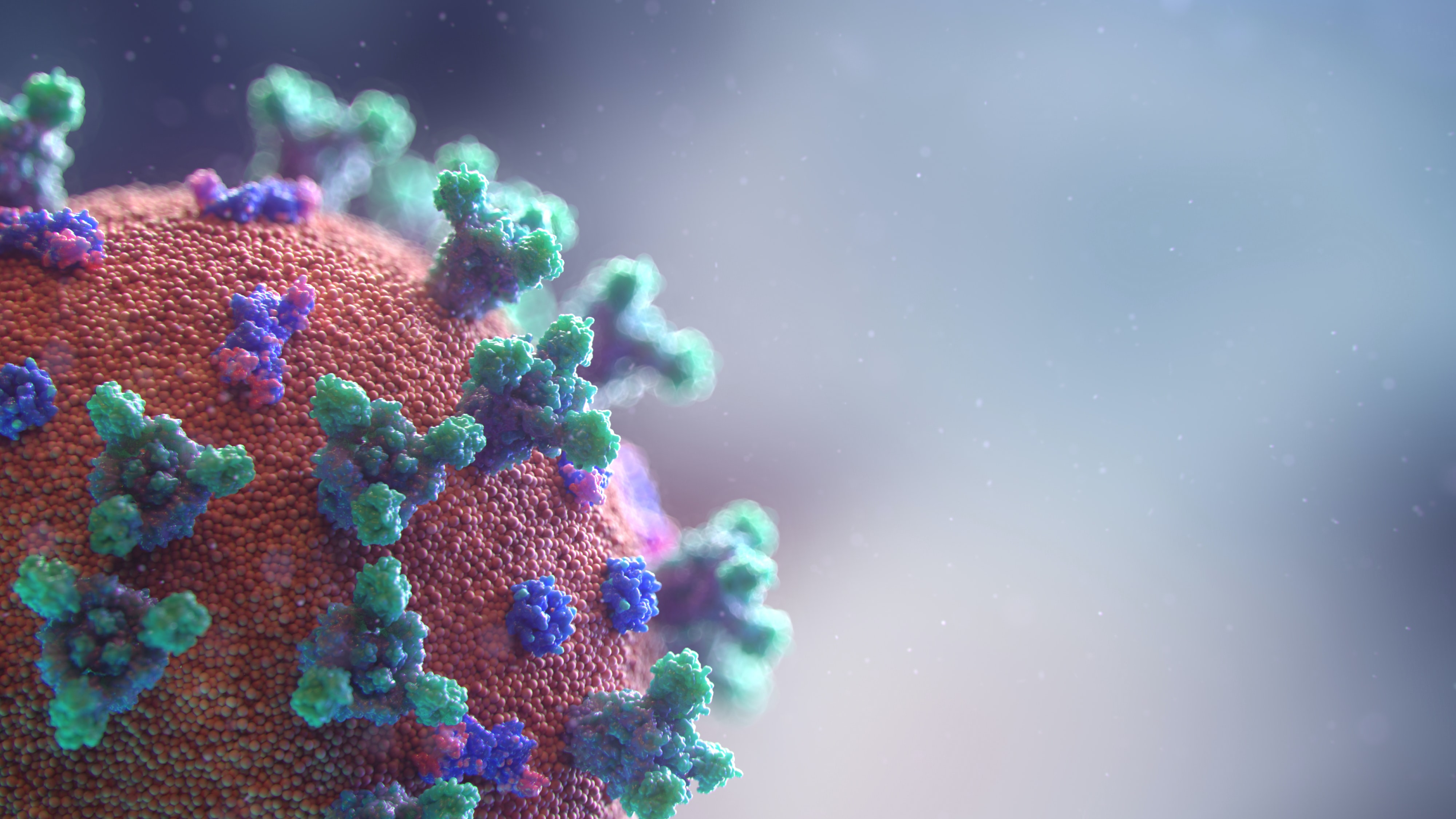 Rendering of SARS-CoV-2 virus