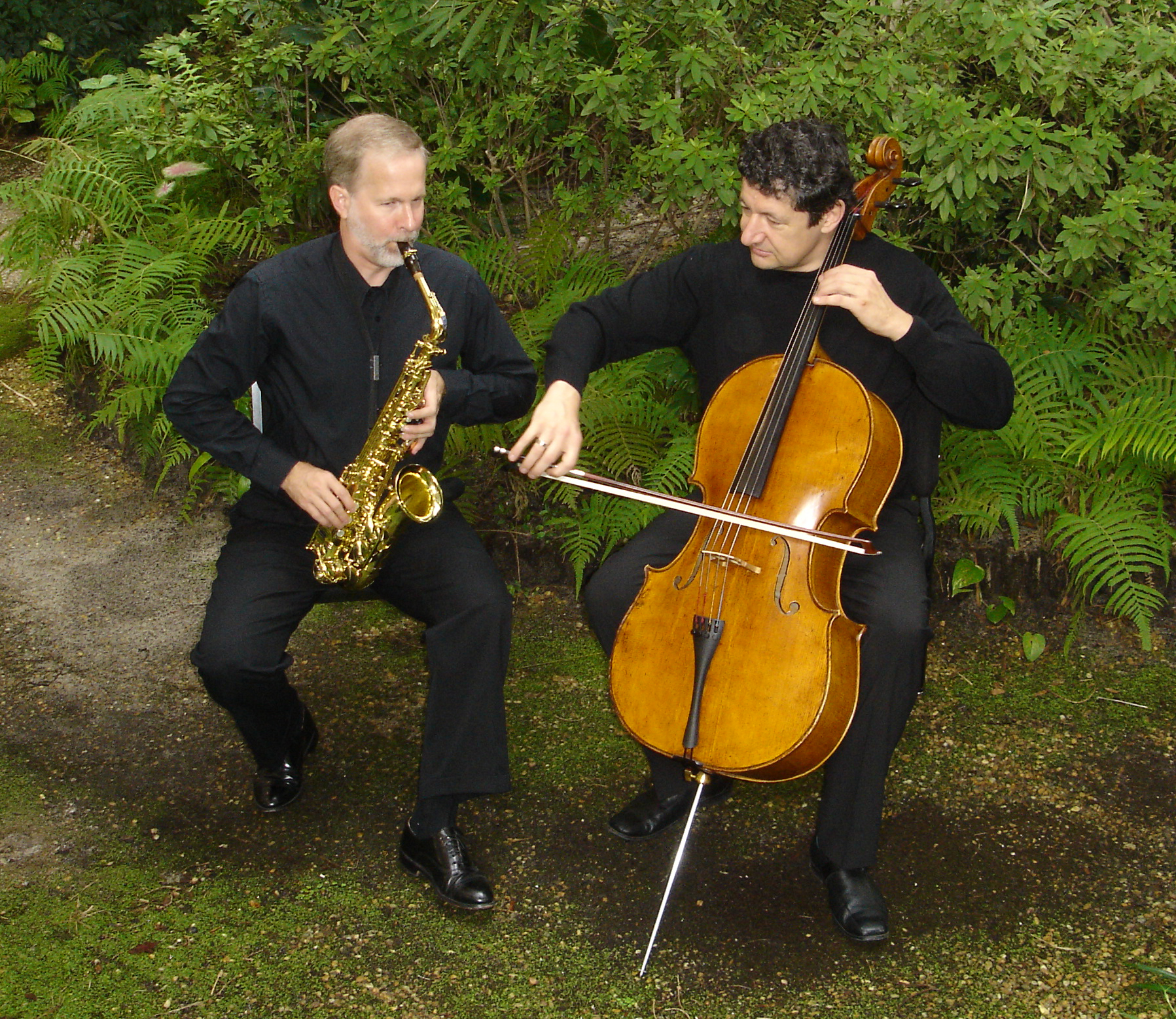 Penn State Hazleton will host a chamber music concert by the Helton-Thomas Duo on Monday, Feb. 11, beginning at 7:30 p.m.