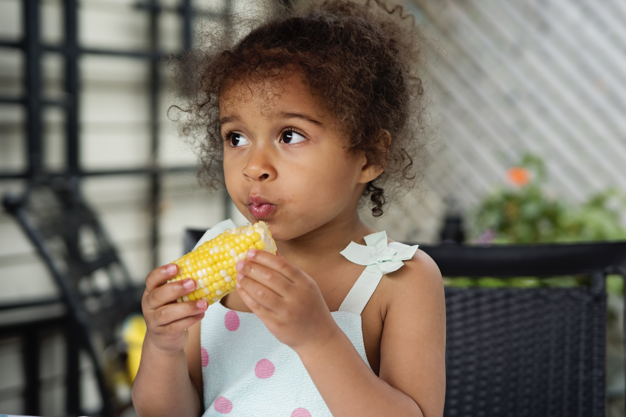 A young preschool-age girl eating corn on the cob