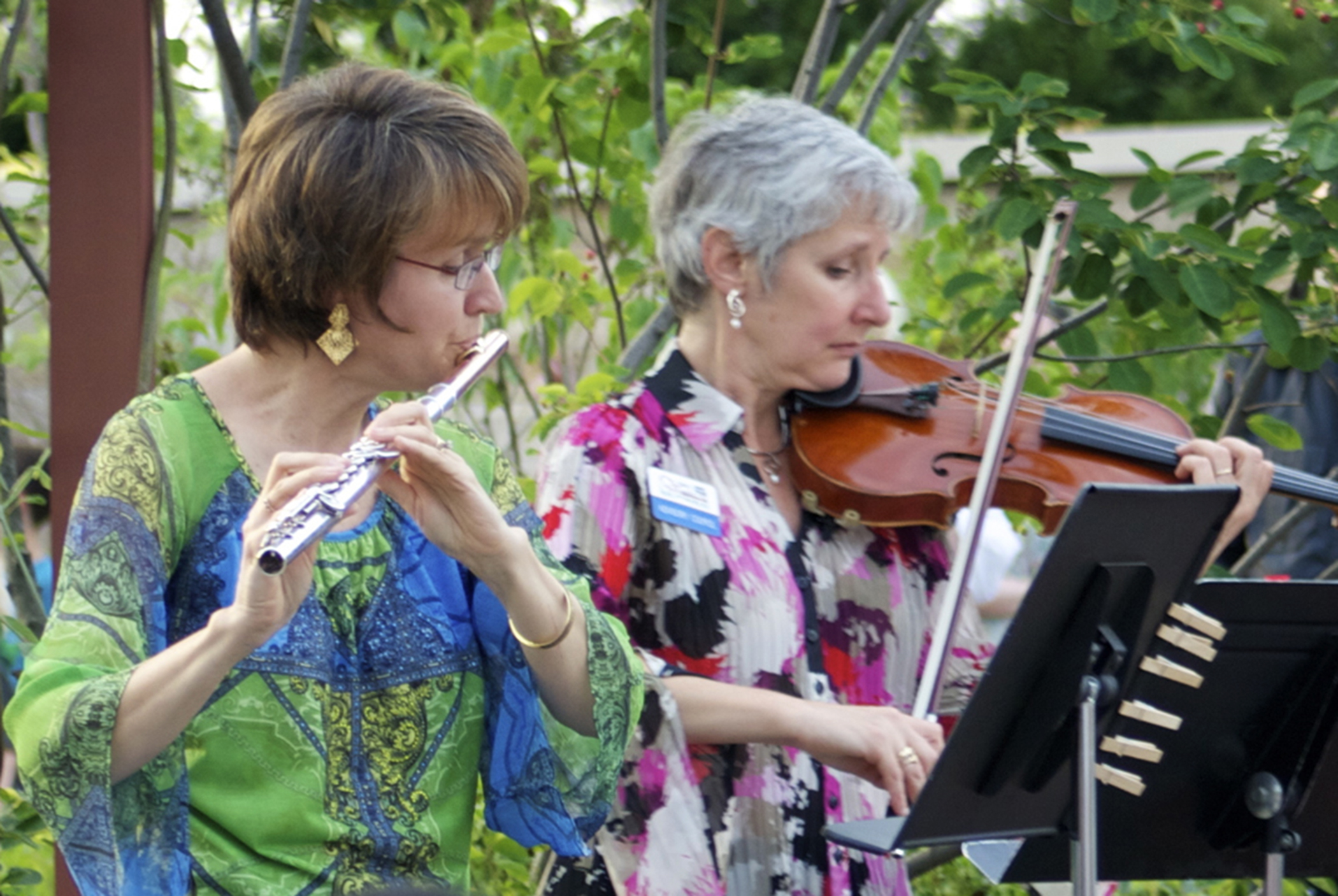 musicians performing at Arboretum