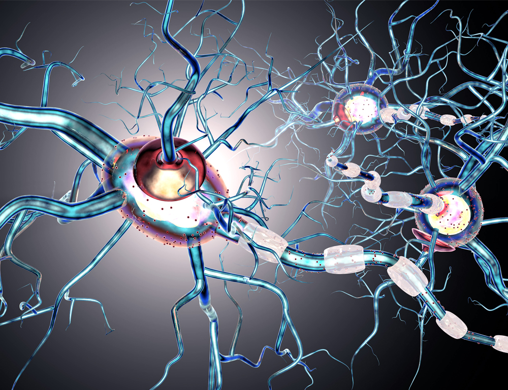 An illustration depicting a microscopic view of nerves, with the nerves illustrated using blue, red, purple and other colors, and the backdrop being mostly gray and black.