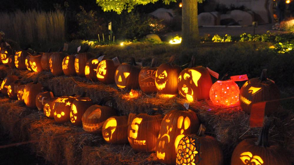 The Arboretum at Penn State hosts 2018 Pumpkin Festival Oct. 14, 19-20 ...