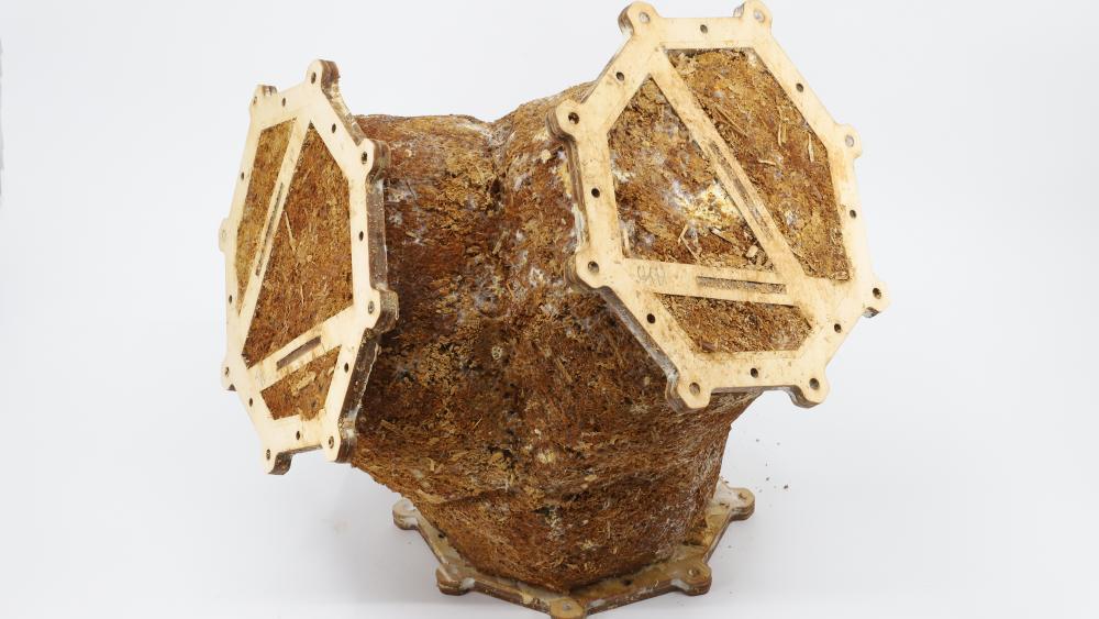 Stuckeman School professor receives research grant for biodegradable ...