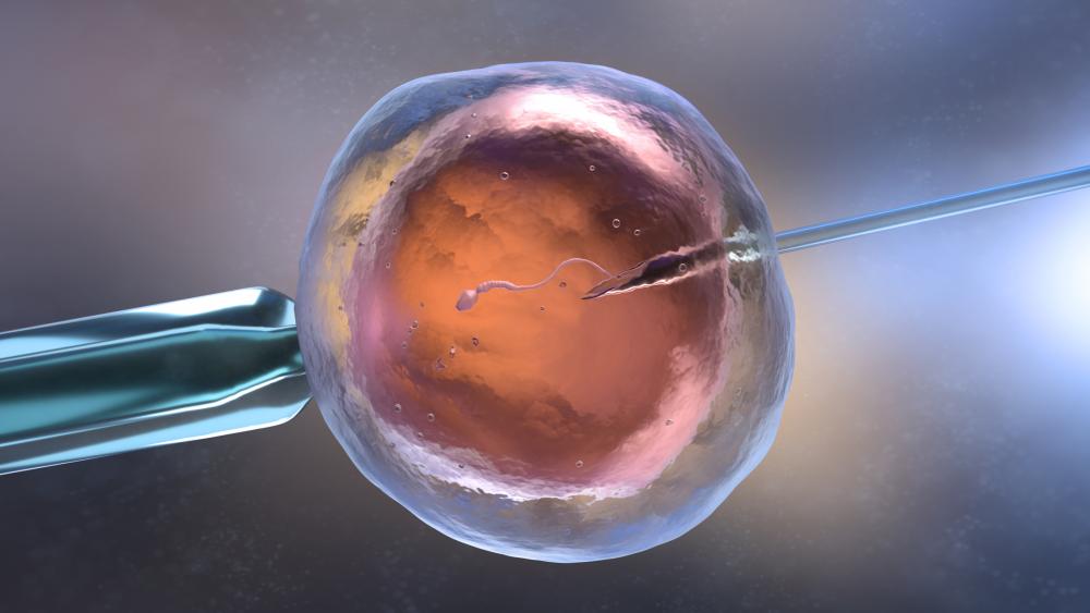 Frozen embryo disputes reveal legal discrepancies related to unwanted fatherhood