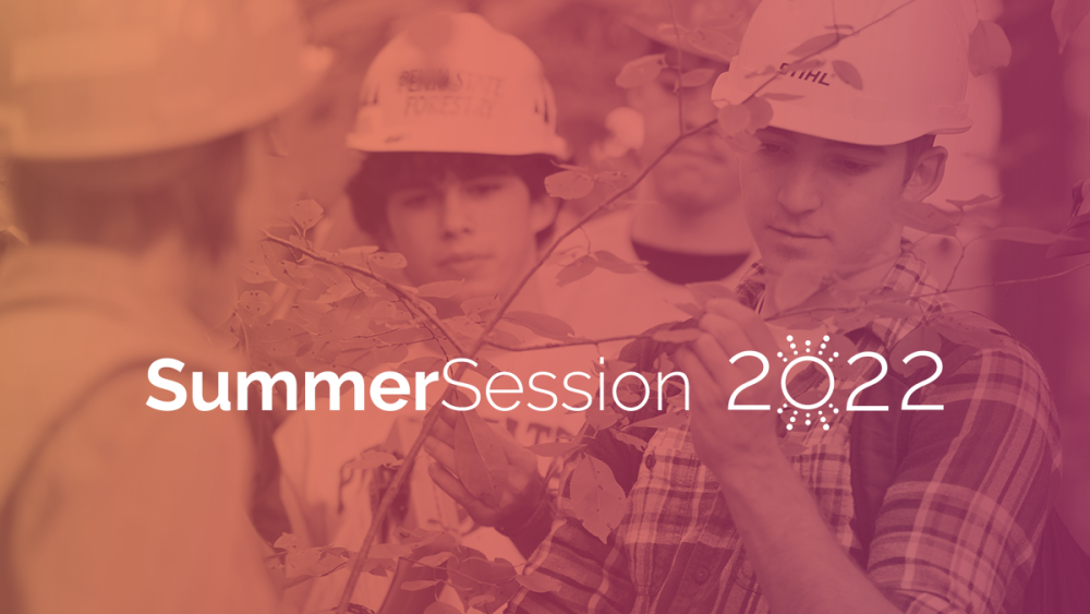 Summer Session 2022 to provide opportunity for students to catch up