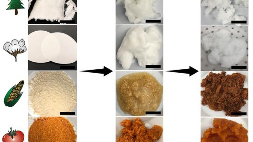 Compost to computer: Bio-based materials used to salvage rare earth ...