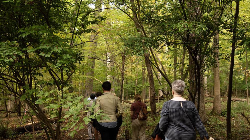「森は必要なものを知っている」：参加者の分離を助ける森林セラピー