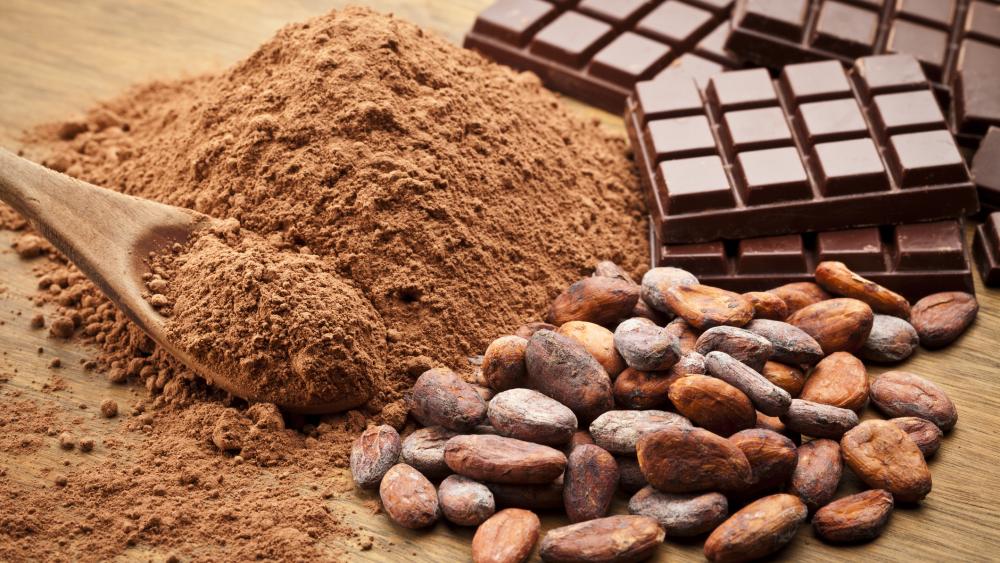 The Art and Science of Cocoa Grinding