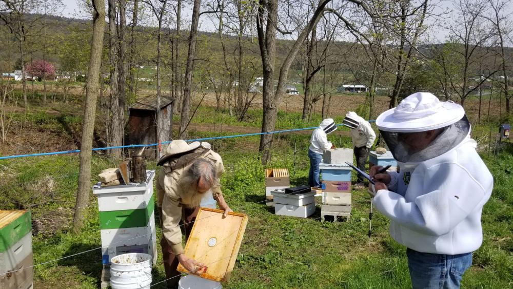 Beekeepers Club — Students — Penn State College of Agricultural