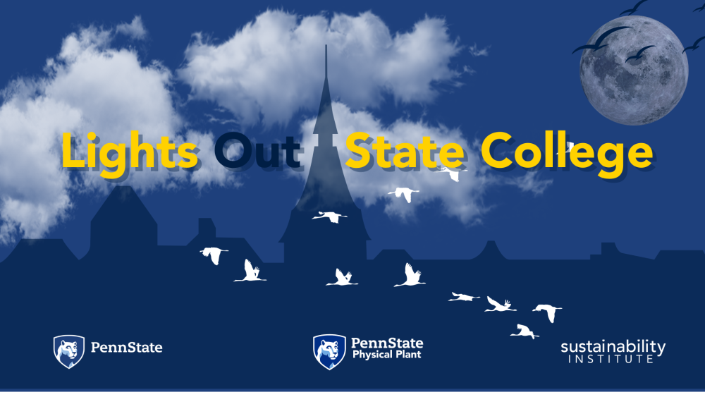 Penn State to take part in 'Lights Out State College' on Migratory Bird Day Penn State University