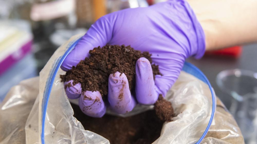 A protein mines, sorts rare earths better than humans, paving way for