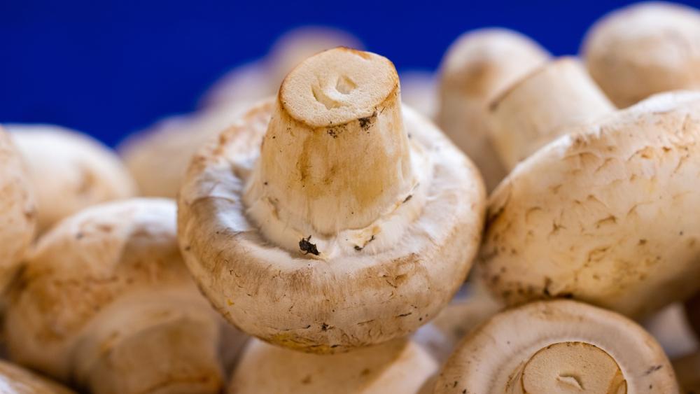 What Are Button Mushrooms?