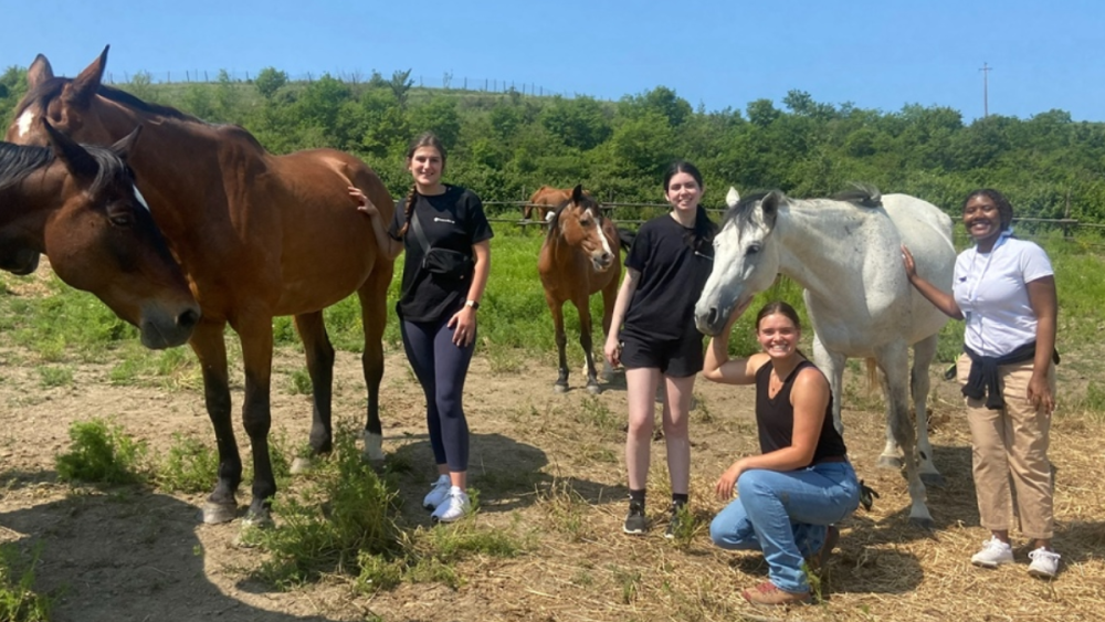 Penn State students attend Doctors in Italy preveterinary program