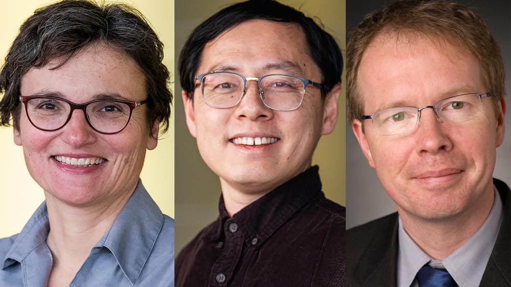 Three Penn State faculty members have been elected as Fellows of the American Physical Society