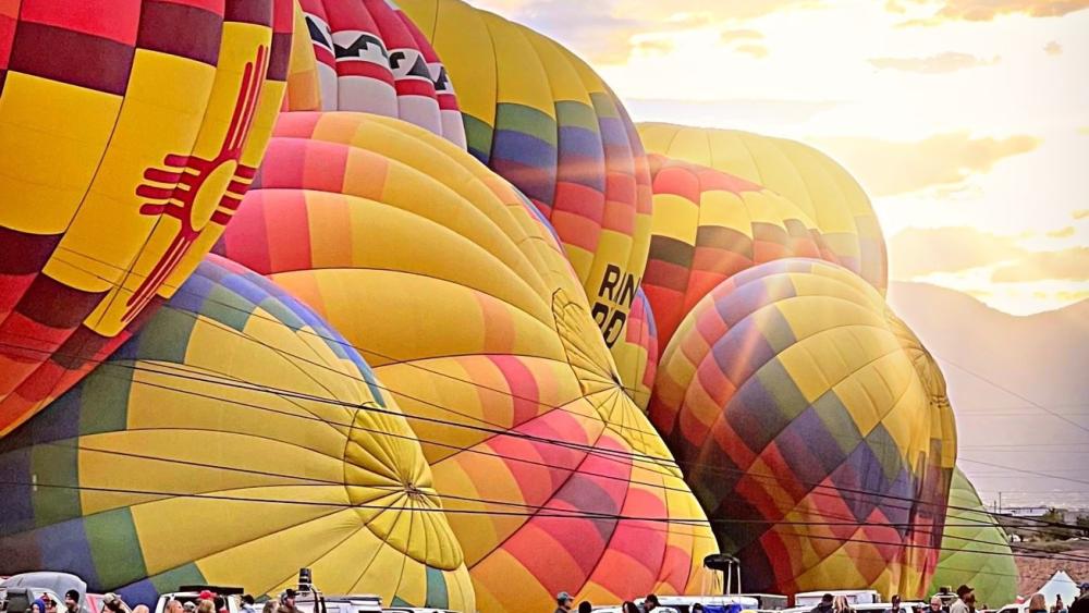 spread-your-wings-with-olli-at-penn-state-travel-opportunities-penn