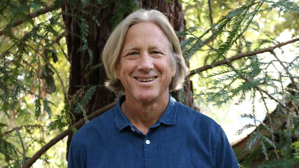 The Need to Imagine: How Humans Transcend Reality Through Compassion, Awe and Aesthetics