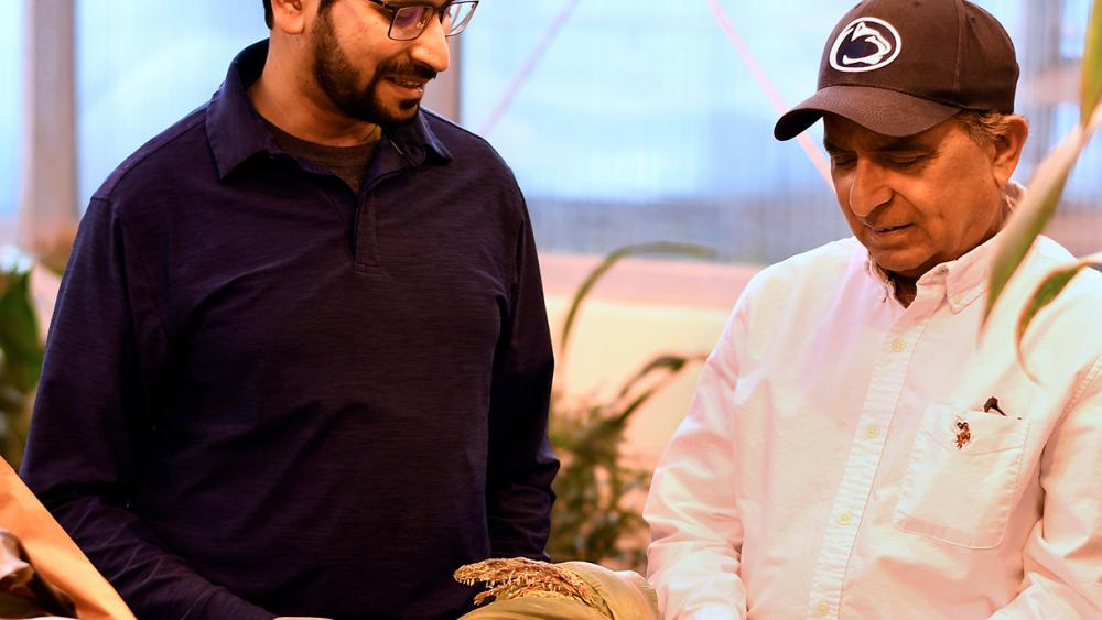 NSF grant to fund research on and physiology of corn kernel