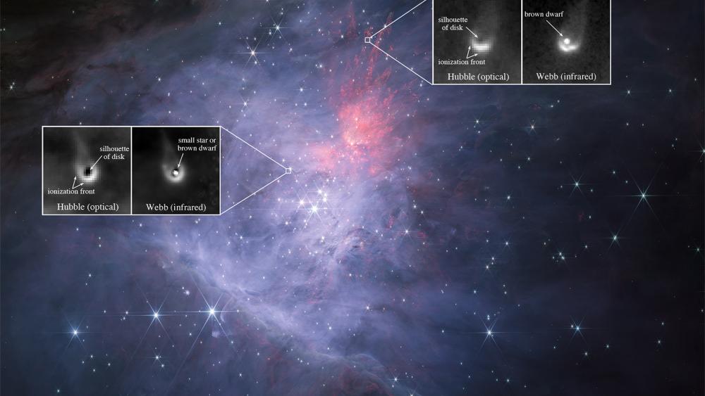 NASA telescopes discover brown dwarf protoplanetary disks in the 