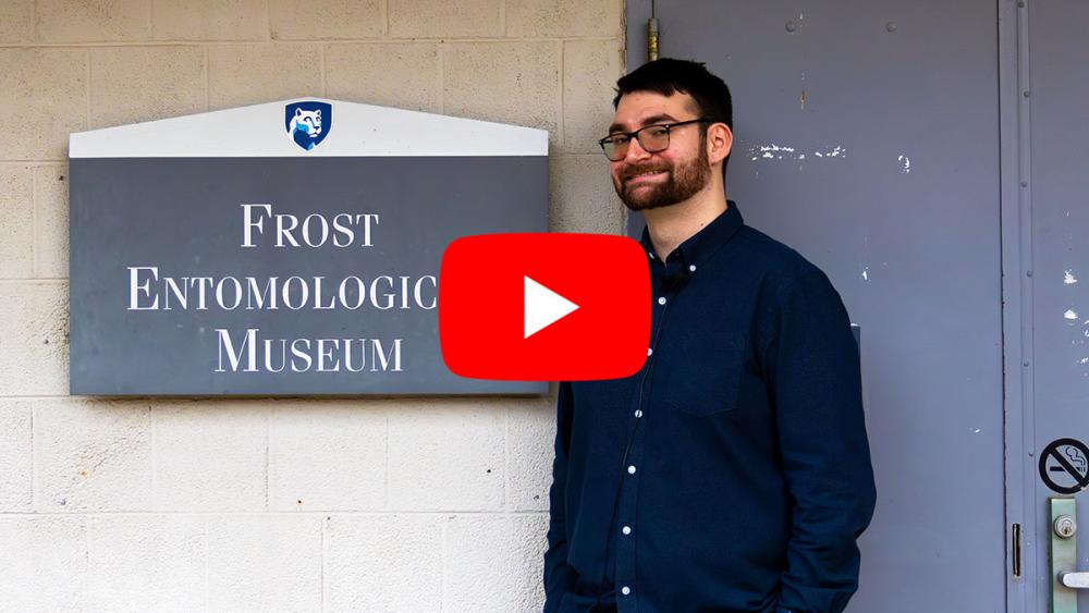 WATCH: Entomology doctoral candidate discusses wasp discoveries | Penn ...